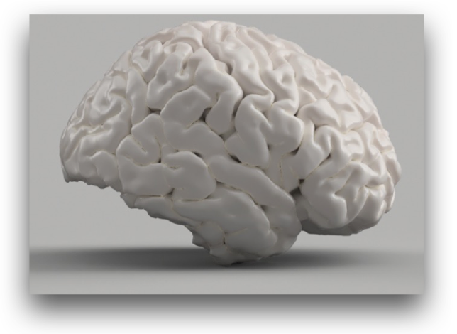 Brain rendering