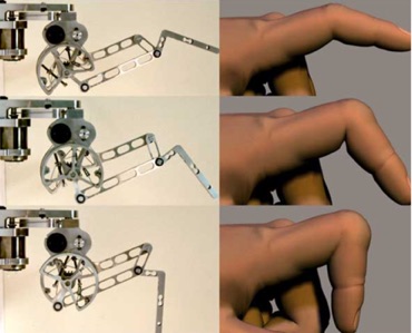 Modbot modular biomimetic robot